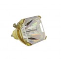 Lampa POA-LMP66 VIP R150-P10