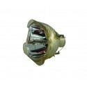 Lampa NP20LP 5J.J3J05.001 9E.0CG03.001 UHP280245W UHP300245W