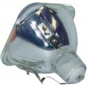 Lampa NP06LP 60002234 NP06LP+