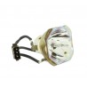 Lampa NP06LP 60002234 NP06LP+